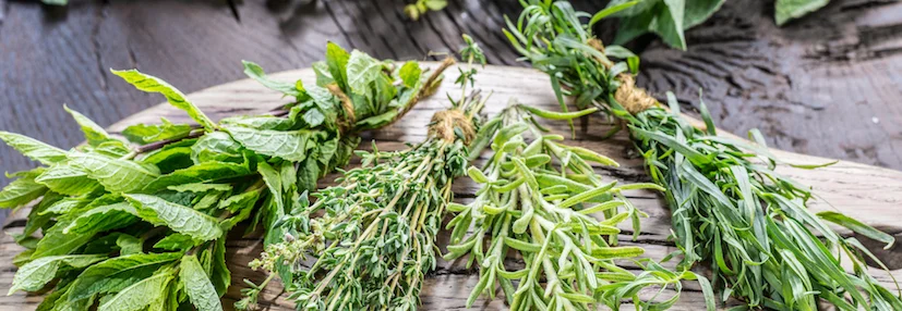 Frische Kräuter auf einem Holzbrett